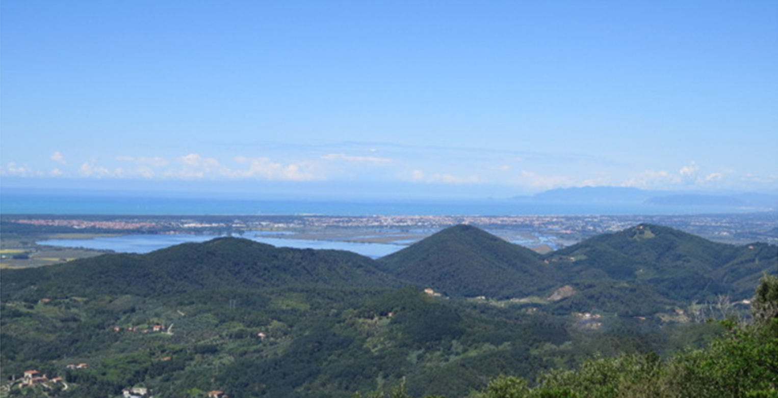 Barone Brigante